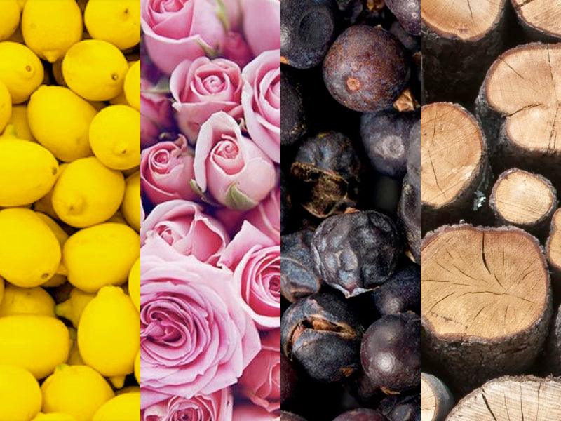 The Alluring World of Perfume Families: How Ingredients Orchestrate Intensity
