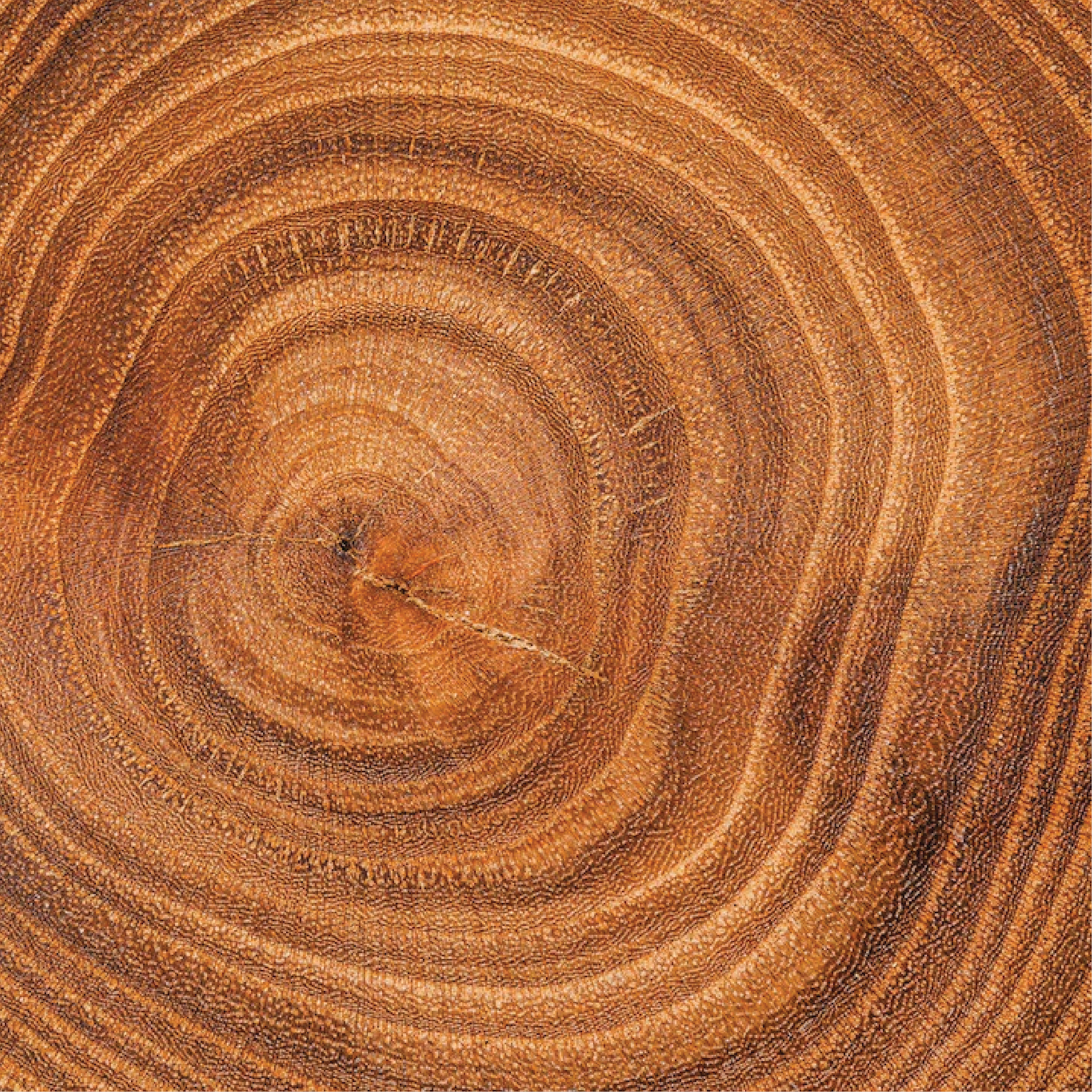 Woody Wonders