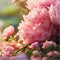 Floral Fantasy - Dar Attar