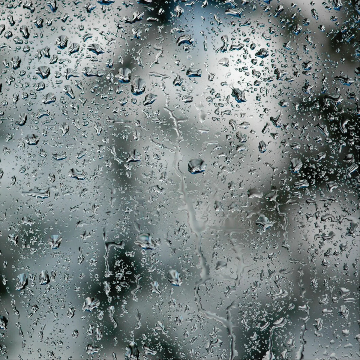 Winter - Dar Attar