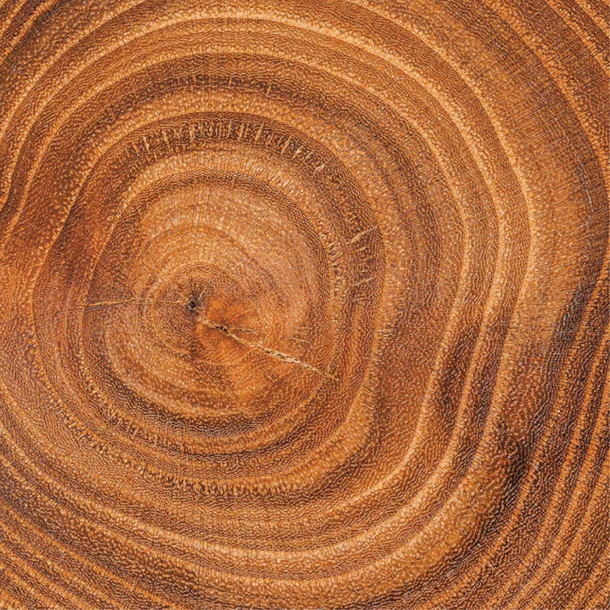 Woody Wonders - Dar Attar