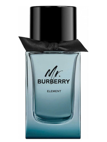 Burberry Mr. Burberry Element for Men